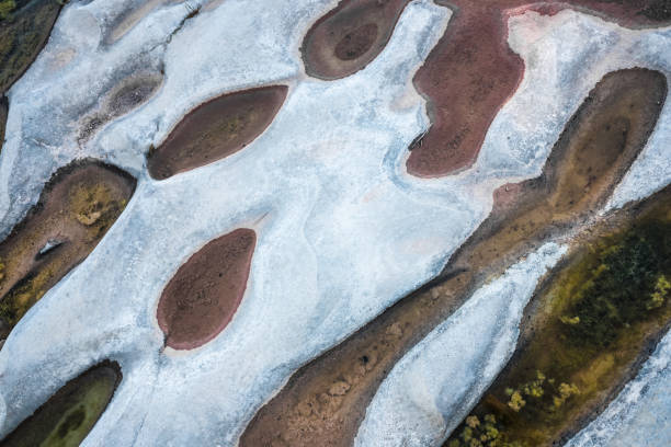 istock Algae grow on the bedrock of a dry river producing eutrophication 1714865215