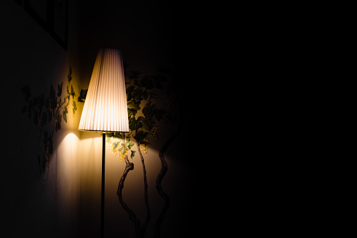 An elegant low wattage lamp creates an atmosphere of seclusion and nostalgia in a darkened room.