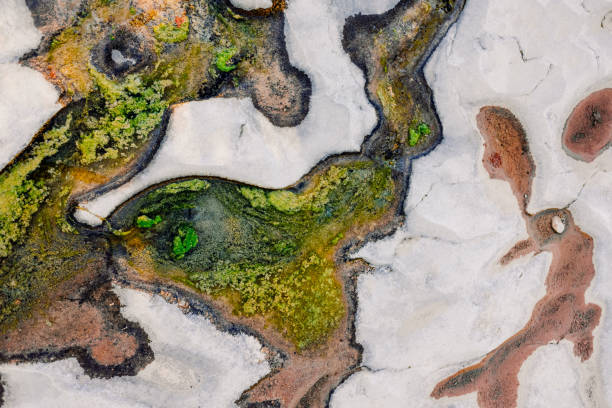 istock Algae grow on the bedrock of a dry river producing eutrophication 1714868003