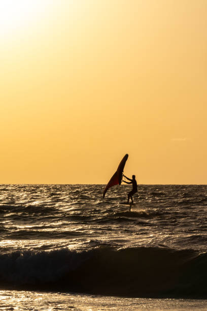Windsurfing on a quiet lake at sunset, holiday sport