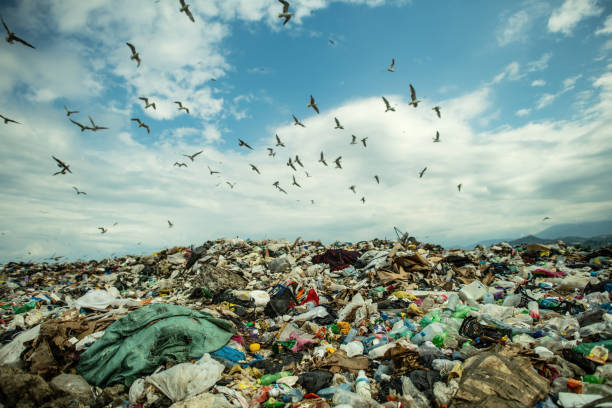 Seagulls flying over a garbage dump under dramatic sky. Environmental damage, air and water pollution and ecology crisis concept.