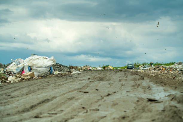 Environmental damage, air and water pollution and ecology crisis concept.