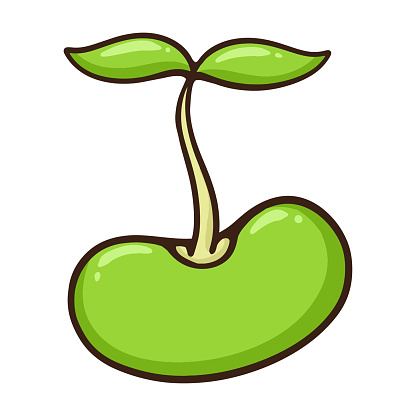 Bean sprout cartoon cut out