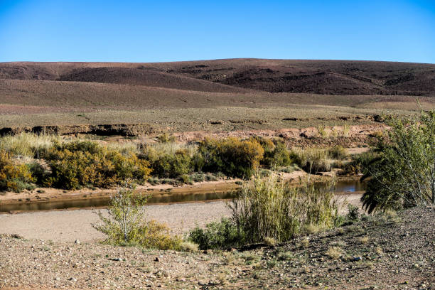 istock landscape in desert, photo as background 1714908565