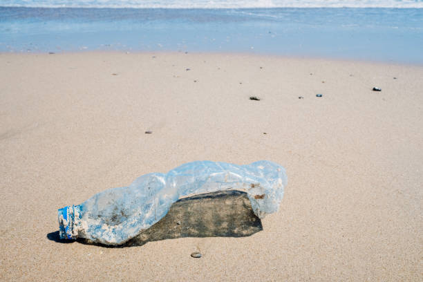 ビーチにゴミやプラスチックを投げ、汚して汚染する行楽客の扇動を示す写真。 - dirtying ストックフォトと画像