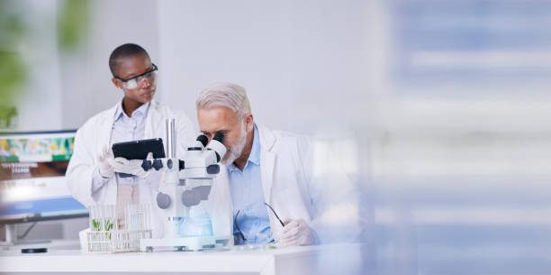 科学、モックアップを持つ黒人女性、顕微鏡を持つ男性、バイオテクノロジー、薬のための植物のデジタル研究。実験室のタブレット上の自然、成長、デジタル分析に関する研究を行う科学� - agriculture research science biology ストックフォトと画像