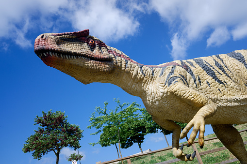Recreation of an Allosaurus Fragilis, a dinosaur with large teeth, in an outdoor park.