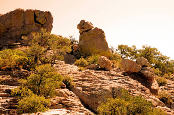 istock Chiricahua National Monument Arizona 1714945507