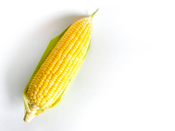 istock Fresh yellow corn isolated on white background 1714954960