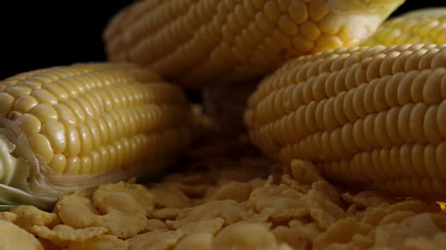A close-up of corn and breakfast flakes, with alternating appearance and disappearance of light, depicting the concept of a sunset.