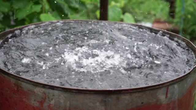 rainwater flows from the roof into a barrel