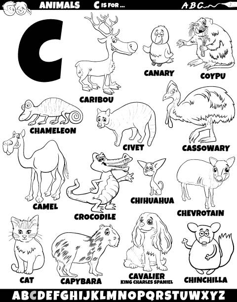 cartoon animal characters for letter C set coloring page Cartoon illustration of animal characters set for letter C coloring page nutria rodent animal alphabet stock illustrations