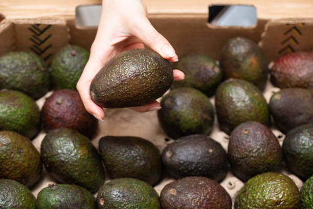 istock woman's hand holding an avocado 1714983752