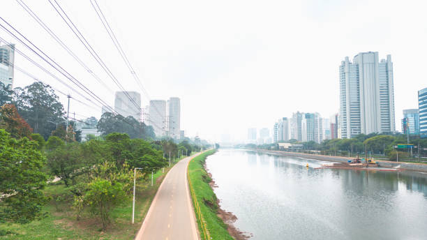 istock Pinheiros River in Sao Paulo 1714984924