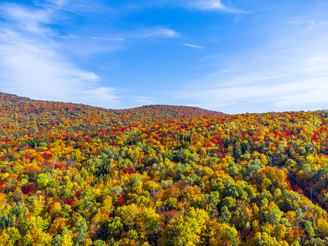 Aerial view of colorful autumn foliage during day