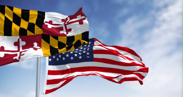 die flagge des bundesstaates maryland weht an einem klaren tag mit der amerikanischen nationalflagge - maryland flag banner us state flag stock-fotos und bilder