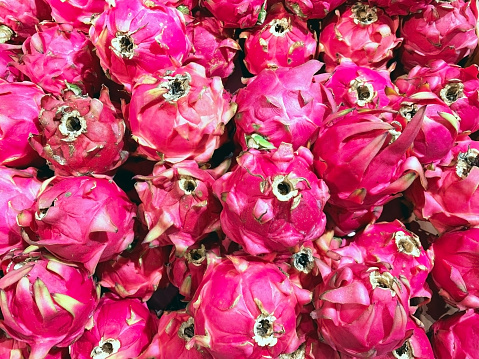 Red Dragon Fruit, Fresh and Ripe for Delightful Consumption