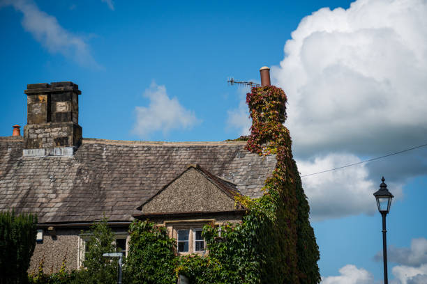 istock traditional english tiled cottage roof 1715078937