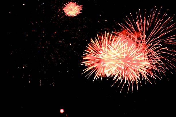 istock KAWAGOEHANABITAIKAI2012 1715084226