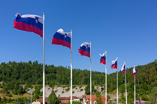 Row of waving National flags of Slovenia against a countryside landscape