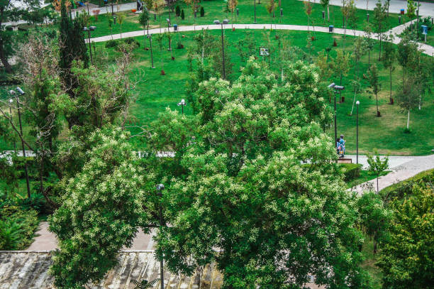 istock City park and amusement park 1715124612