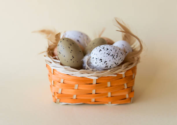 Easter little eggs with feathers in basket on yellow spring background. Easter concept.