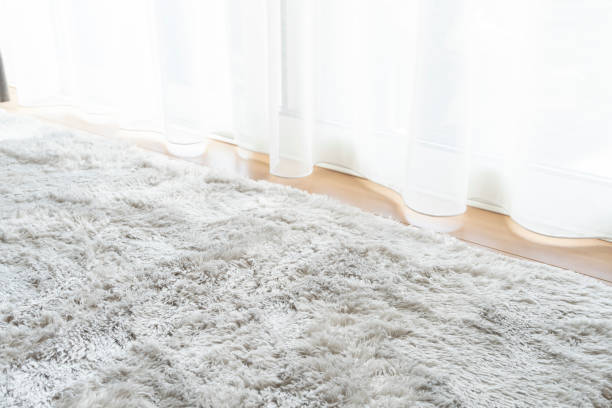 istock Long pile carpet and curtains 1715143338