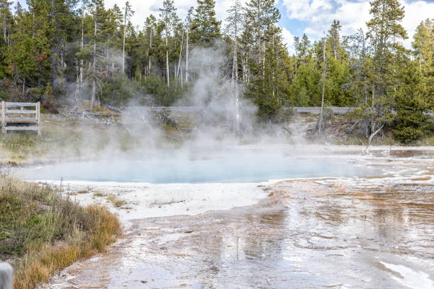 Geyser in Yellowstone National Park Geyser in Yellowstone National Park whitesides stock pictures, royalty-free photos & images