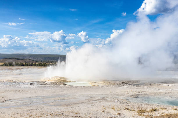 Geyser erupting in Yellowstone National Park Geyser erupting in Yellowstone National Park whitesides stock pictures, royalty-free photos & images