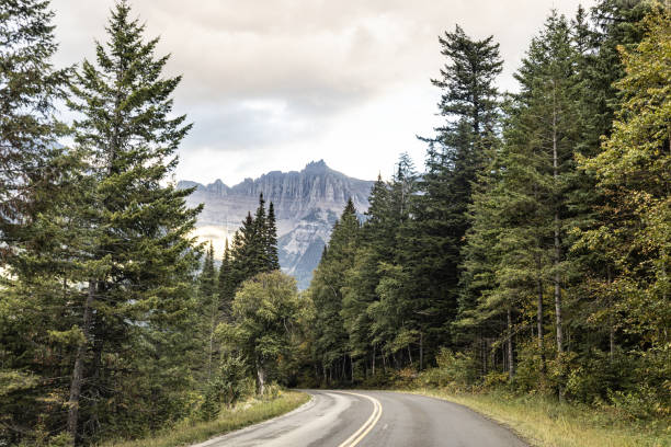 istock Roadway through Glacier National Park 1715165144