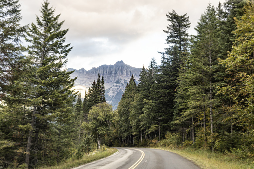 Roadway through Glacier National Park