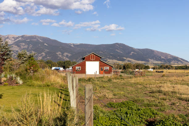 Red barn in Bozeman Montana Red barn in Bozeman Montana whitesides stock pictures, royalty-free photos & images