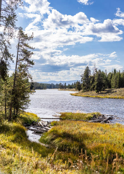 istock River running in Yellowstone National Park 1715165200