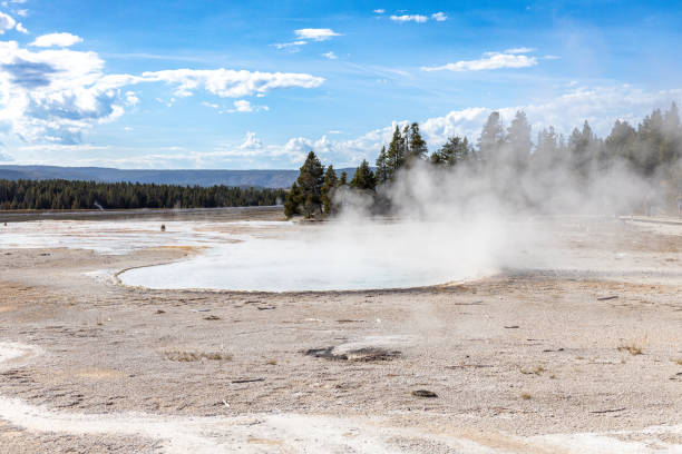 Geyser in Yellowstone National Park Geyser in Yellowstone National Park whitesides stock pictures, royalty-free photos & images