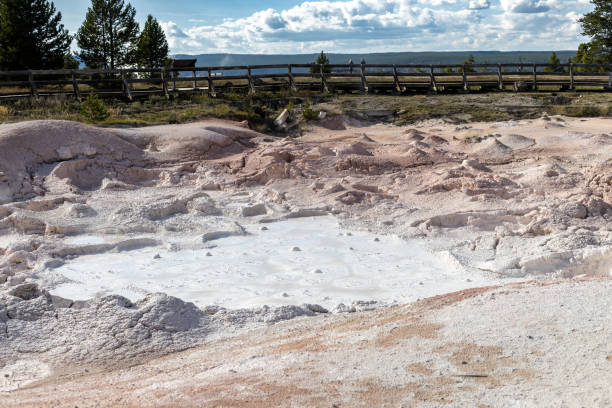 Geyser in Yellowstone National Park Geyser in Yellowstone National Park whitesides stock pictures, royalty-free photos & images