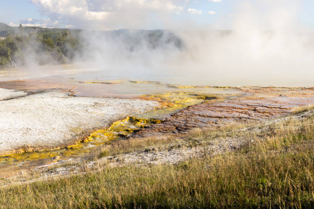 Geyser Ground in Yellowstone National Park Geyser Ground in Yellowstone National Park whitesides stock pictures, royalty-free photos & images