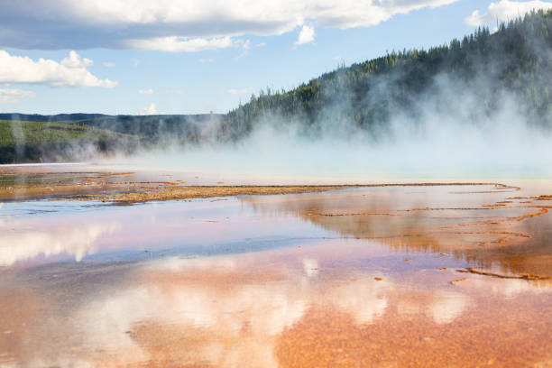 Geyser Grounds in Yellowstone National Park