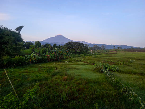 istock wide view of green grass with mountain background 1715172004