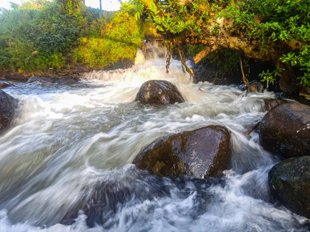 istock the landscape. Clear river flowing between natural rocks 1715177246