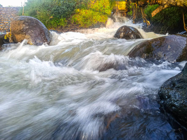 the landscape. big river stone between the flowing river water