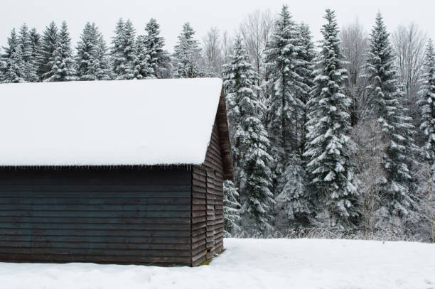Small wooden house covered with snow in the forest, Gorski kotar, Croatia