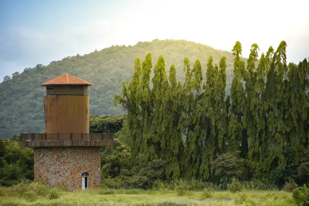 Farm barn tower in forest and meadow on mountain and sunlight warm day background,Spectacular scenery forest and mountain on sky with sunset,summer warm day in farm,rural life,landscape and panorama.