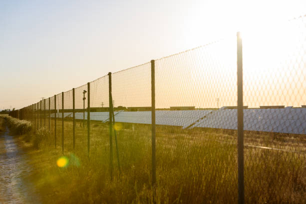 istock Central solar panels, at warm sunset, protected by security fences. 1715187629