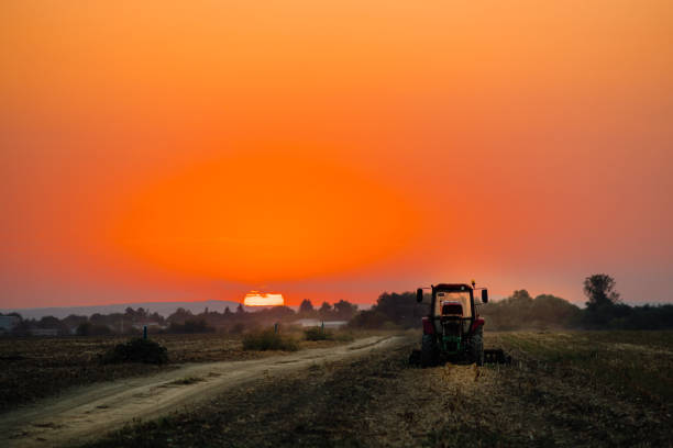 istock Broken tractor on an agricultural field during sunset 1715193058
