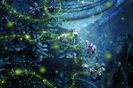 Abstract image of Firefly flying in the night magical garden. Fairy tale concept