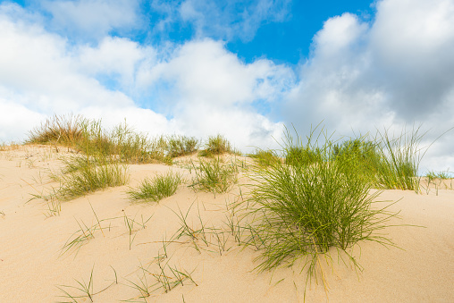 Valdevaqueros dune in Tarifa, Cadiz, Spain
