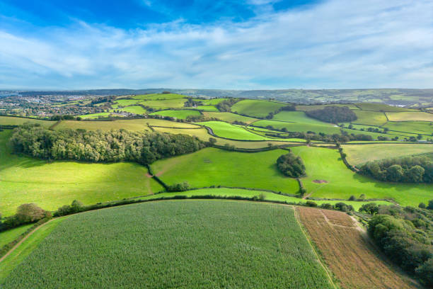 Rolling hills of rural south Devon