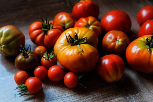 istock Irregular organic tomatoes of different sizes and textures, but very red. 1715253308