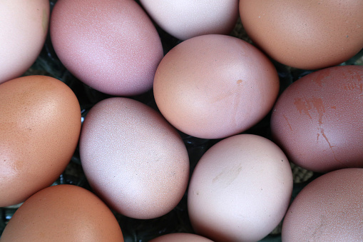 chicken eggs background, background of fresh eggs