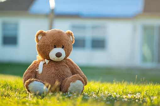 Big plush teddy bear sitting alone on green grass lawn in summer. Concept of childhood.